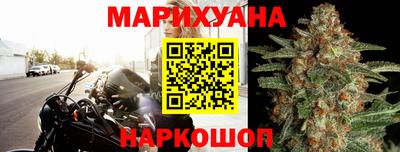 прущие крисы Гай