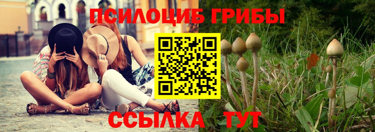 Псилоцибиновые грибы прущие грибы  Вход с VPN  Октябрьский 